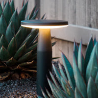 DISC LOW BLACK ‒ 14’’ LED Bollard Light