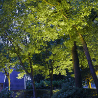 BIG NERO NARROW ‒ 5.5'' Adjustable Landscape Well Light