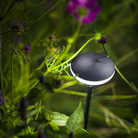 SWAY LOW ‒ 23.6" Tall LED Garden Light