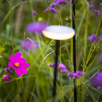 SWAY LOW ‒ 23.6" Tall LED Garden Light