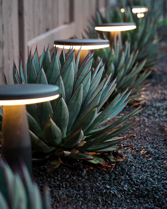 DISC LOW BLACK ‒ 14’’ LED Bollard Light