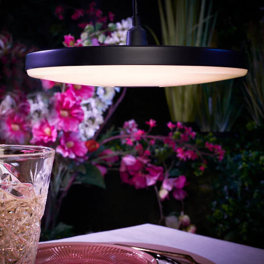 DISC PENDANT ‒ 7.8’’ Low Voltage Outdoor Pendant Light