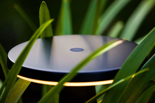 DISC BLACK ‒ 23’’ LED Bollard Light