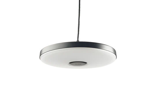 DISC PENDANT ‒ 7.8’’ Low Voltage Outdoor Pendant Light