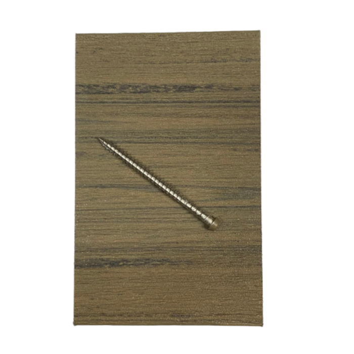 2-1/2 in Costa Deckfast Starborn stainless screw